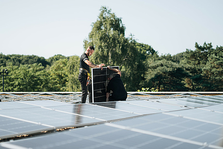 The business case for solar panels: tax benefits and subsidies for Dutch businesses